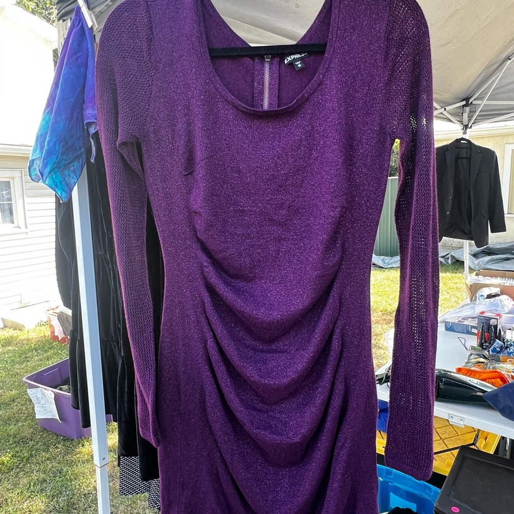 Express Deep Purple Formal Long Sleeve Dress